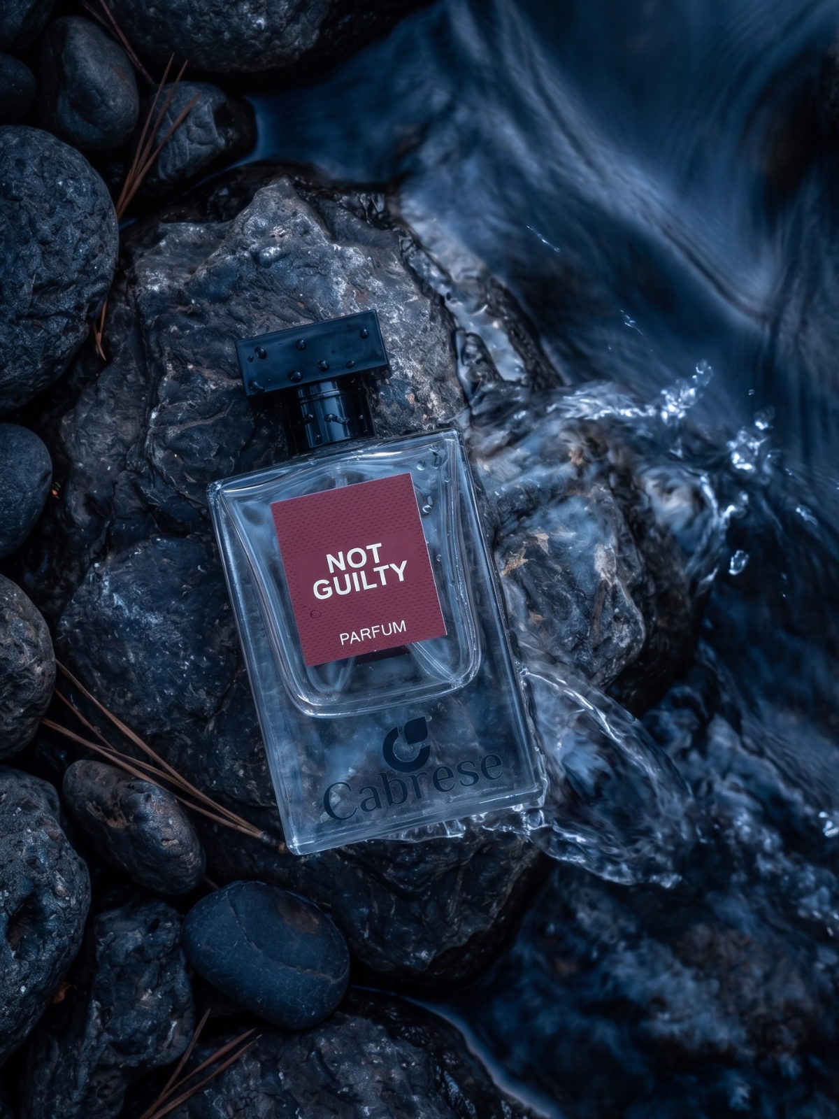 Not Guilty | Extrait De Parfum - 20ml